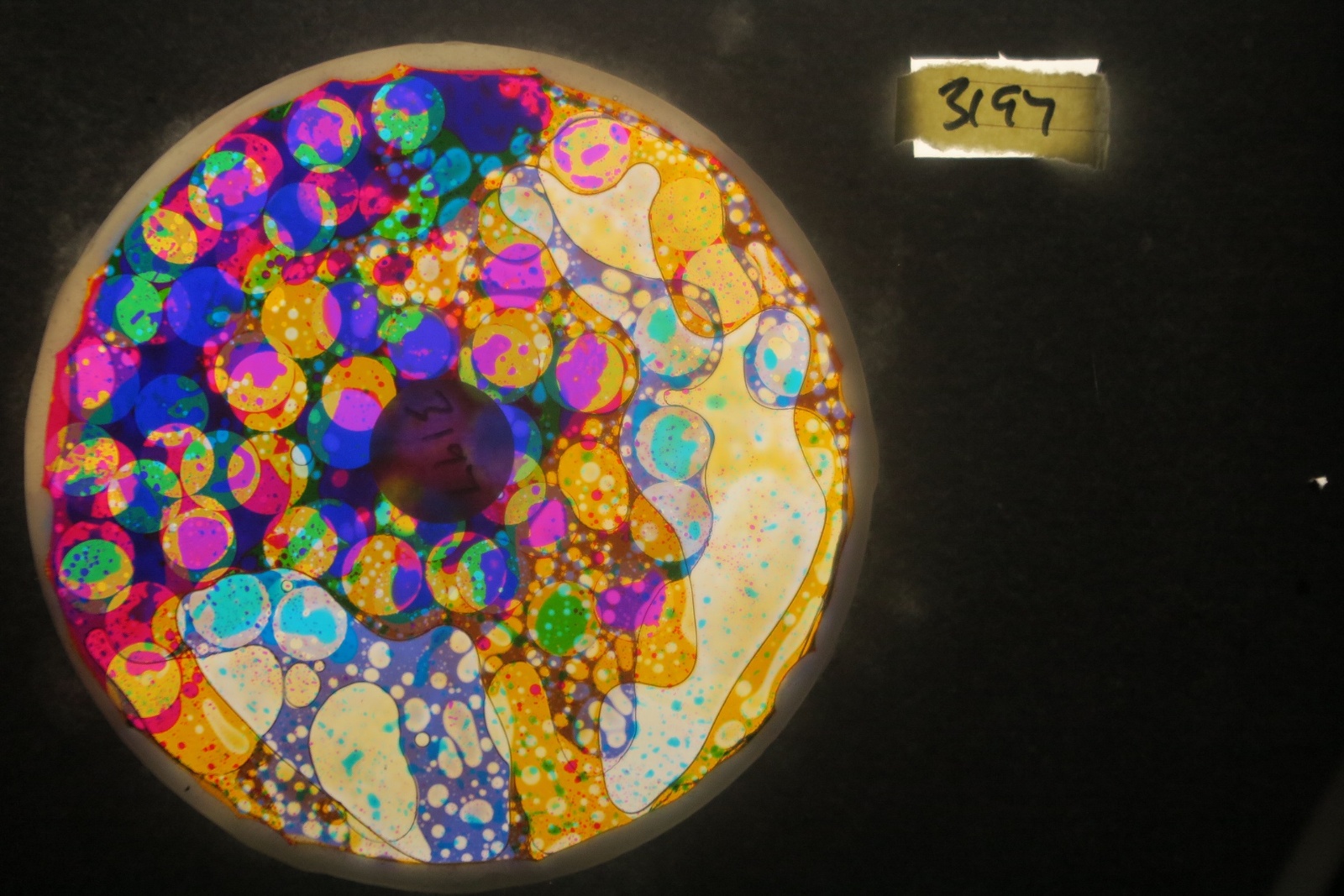 BV3197 bubble vision oil wheel